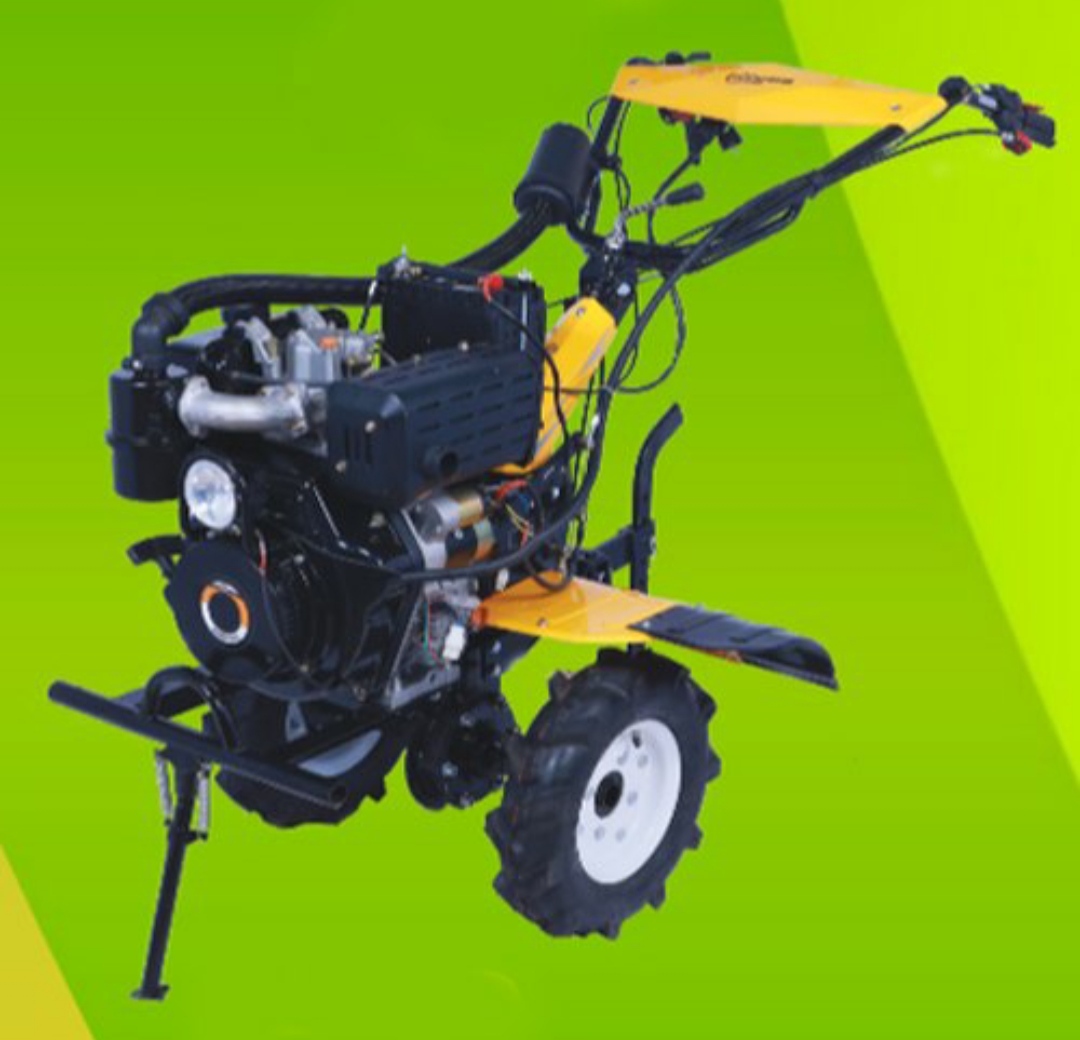 Texas Alligator 9DPE